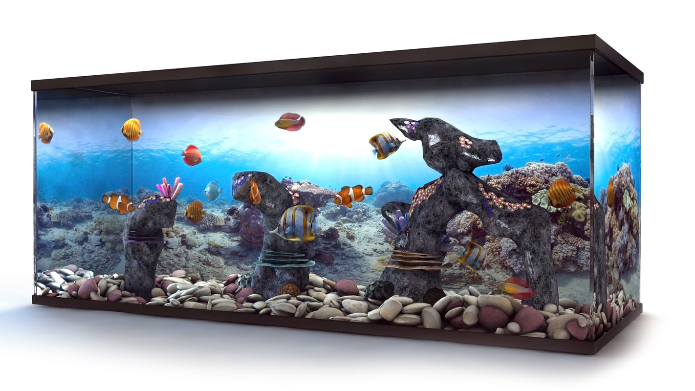 aquarium tropical fish 3d max