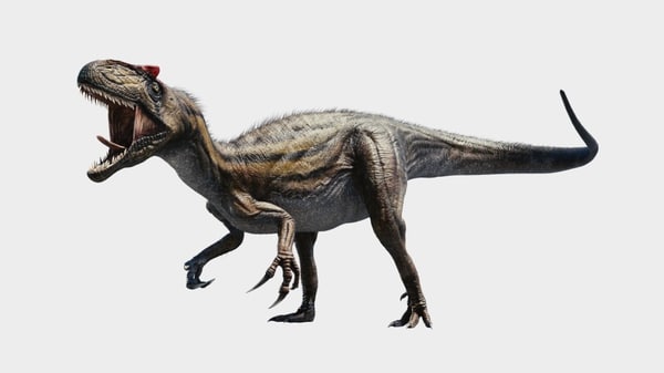 allosaurus wwd