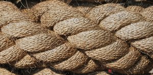 Rope_Texture_0002