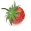 strawberries 3d max