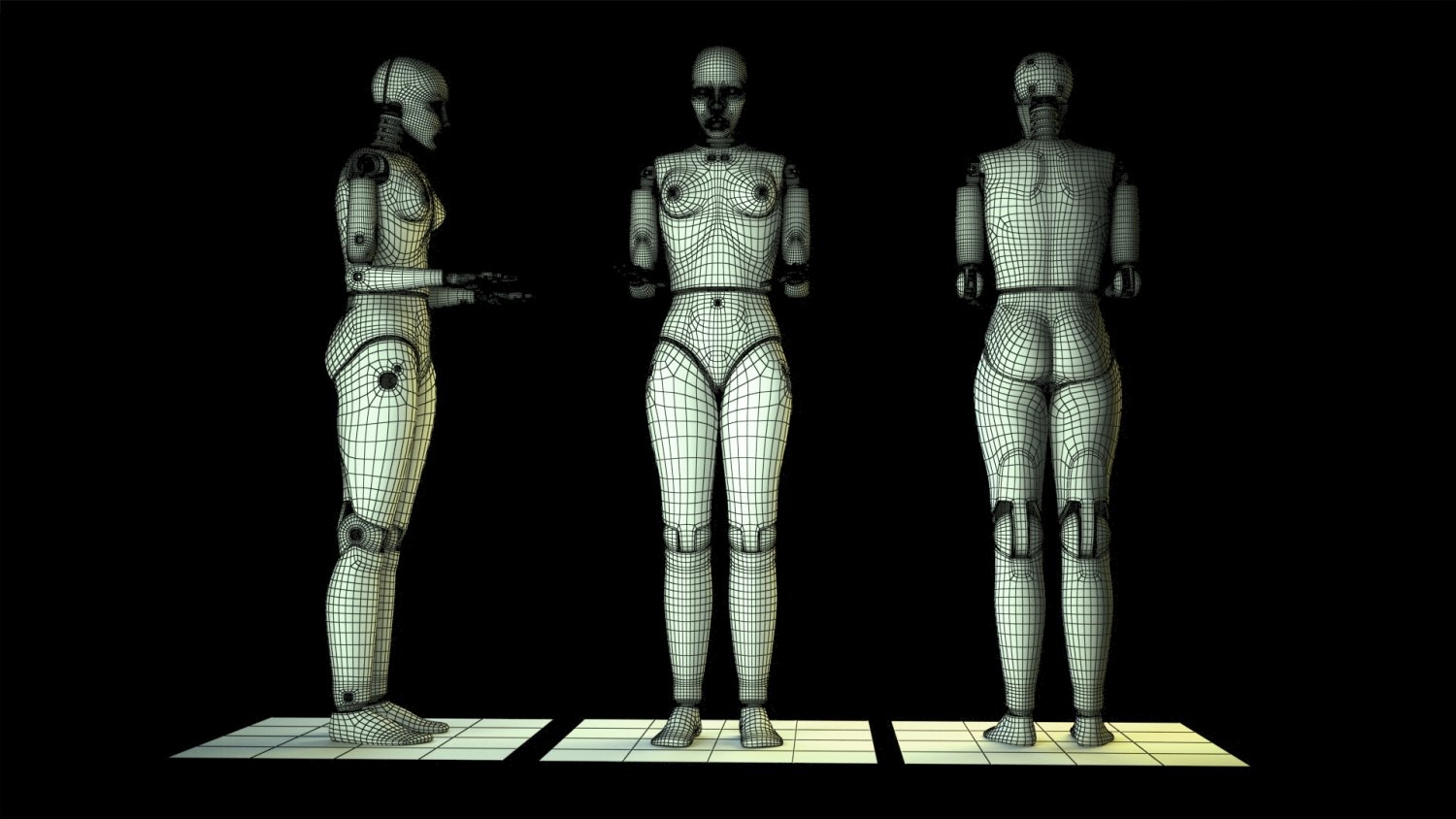 crash test dummy female human 3d model