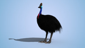3d model rigged cassowary bird animation