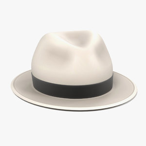 3d panama hat model