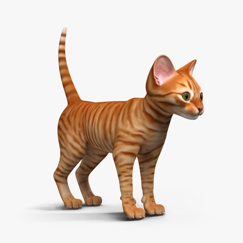 3d model of kitten red black