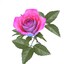 rose pink v2 02 3ds