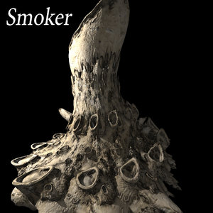 3d smoker