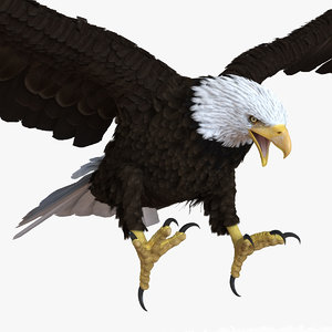 bald eagle pose 2 3d max