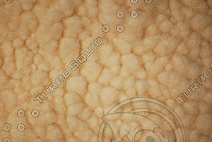 Fur_Texture_0012