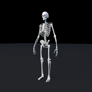 skeleton rig ma free