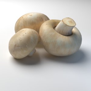 button mushroom champignon max