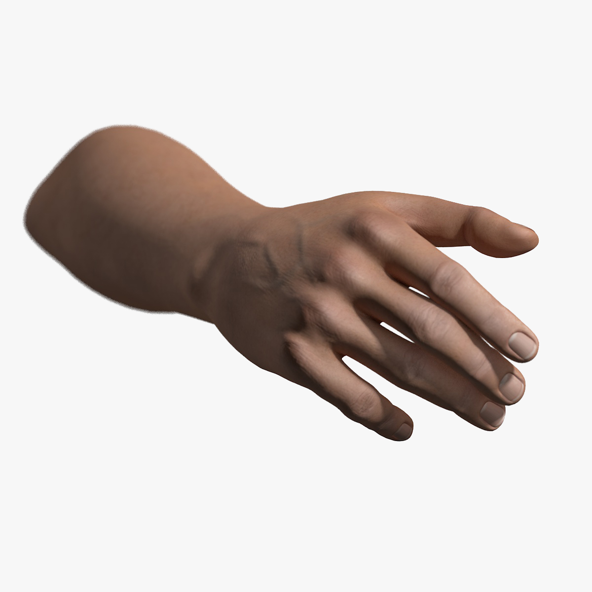 Rigged 3D Models for Download TurboSquid