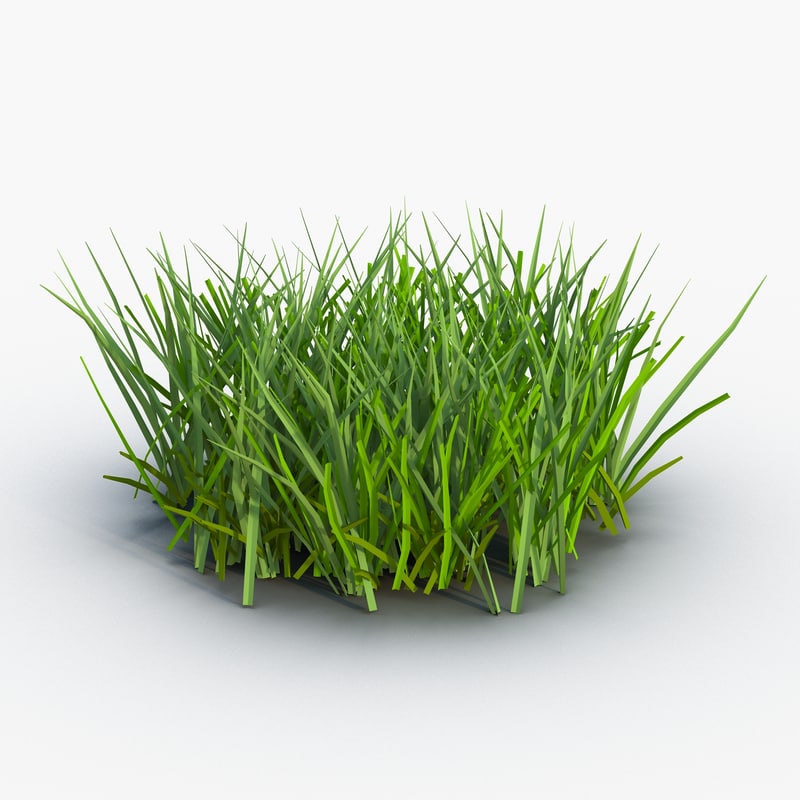 3d grass 2