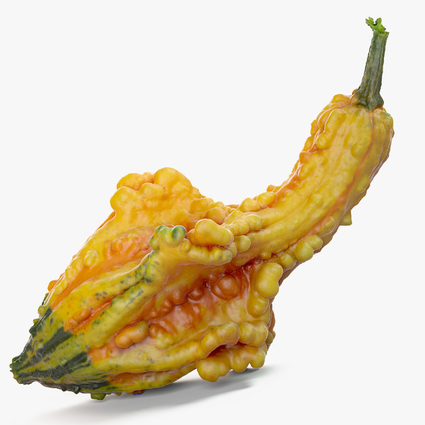 3d squash crookneck pumpkin model