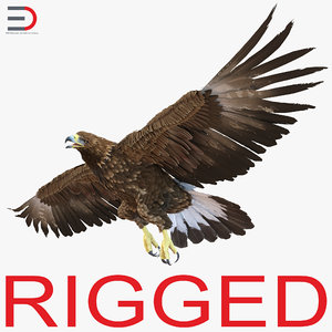 golden eagle rigged 3d max