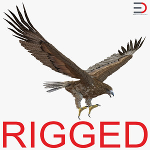 3d gurney eagle rigged