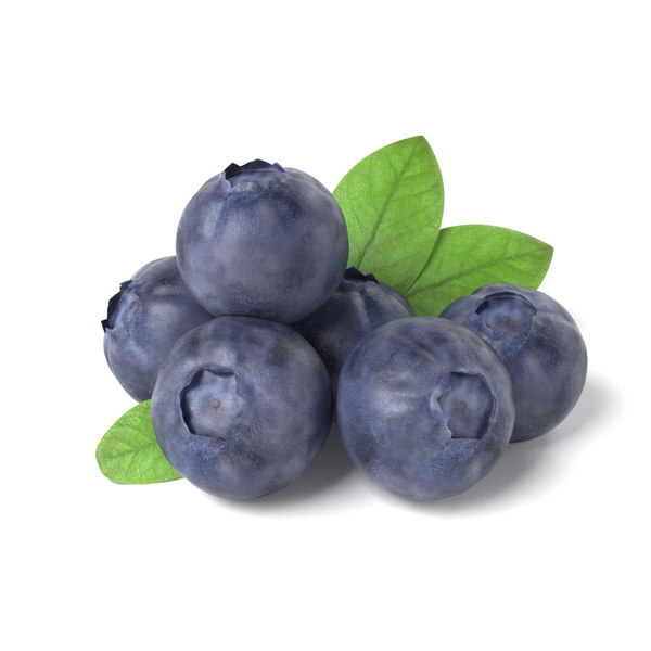 obj bluberries blueberry