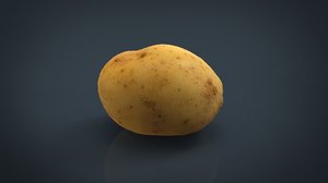 3d model real potato