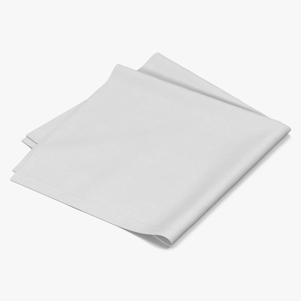 white napkin 3d model
