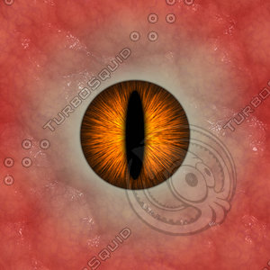 Animal Eye Texture