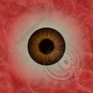 Eye Ball Texture