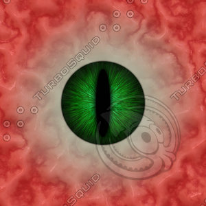 Lizard Eye Texture