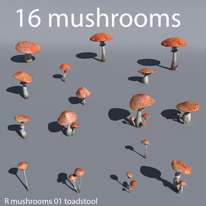 r mushrooms 001 max