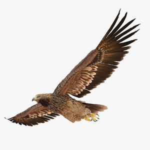 3d imperial eagle pose 2 model