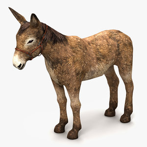 donkey 3d 3ds