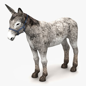 3d model donkey horse