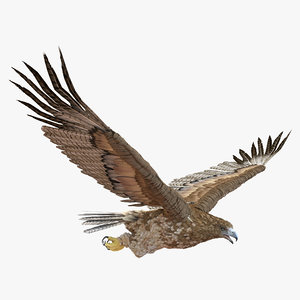 gurney eagle pose 6 3d model