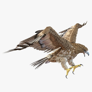 gurney eagle pose 2 3d 3ds