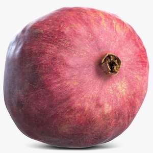 pomegranate 3d max