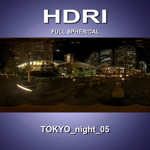 HDRI_Tokyo_night_05