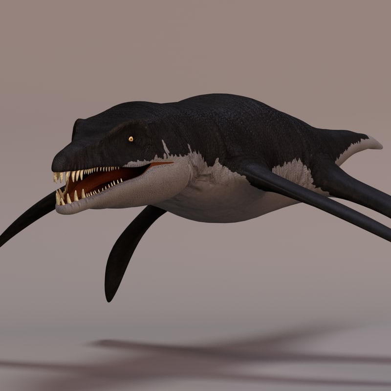 liopleurodon tooth