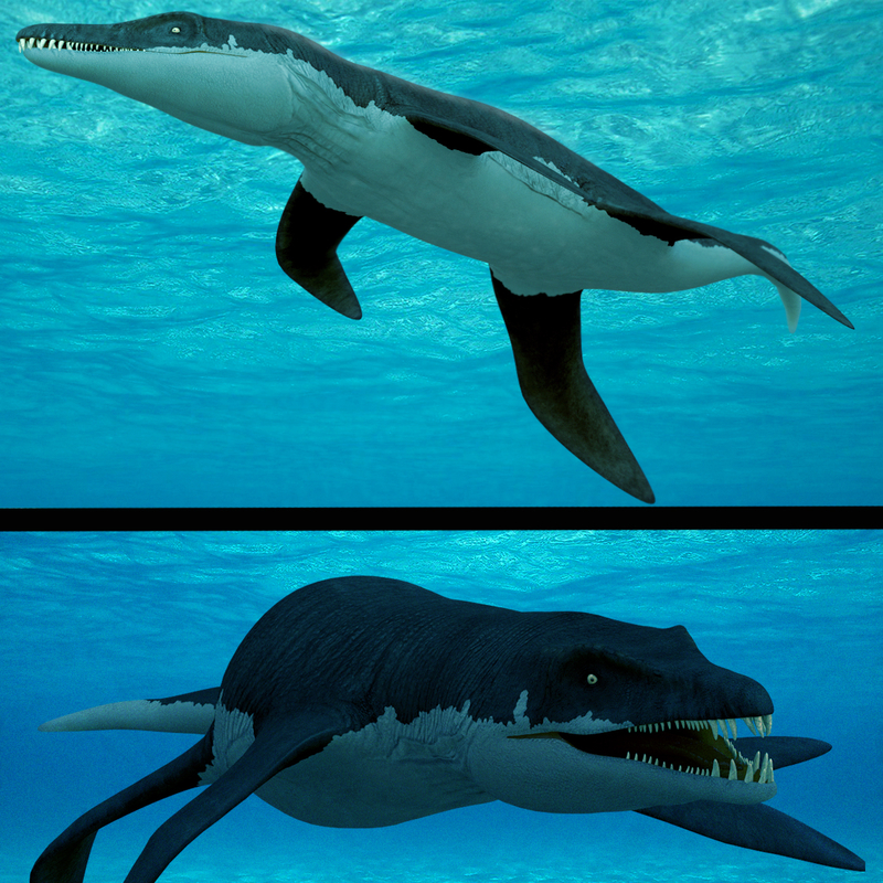 liopleurodon rigged 3d model