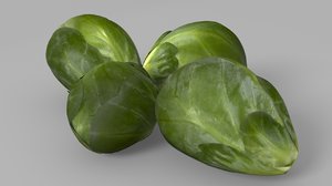 brussels sprouts 3d model