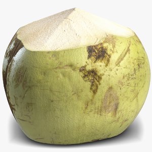 3d green coconut 4 model