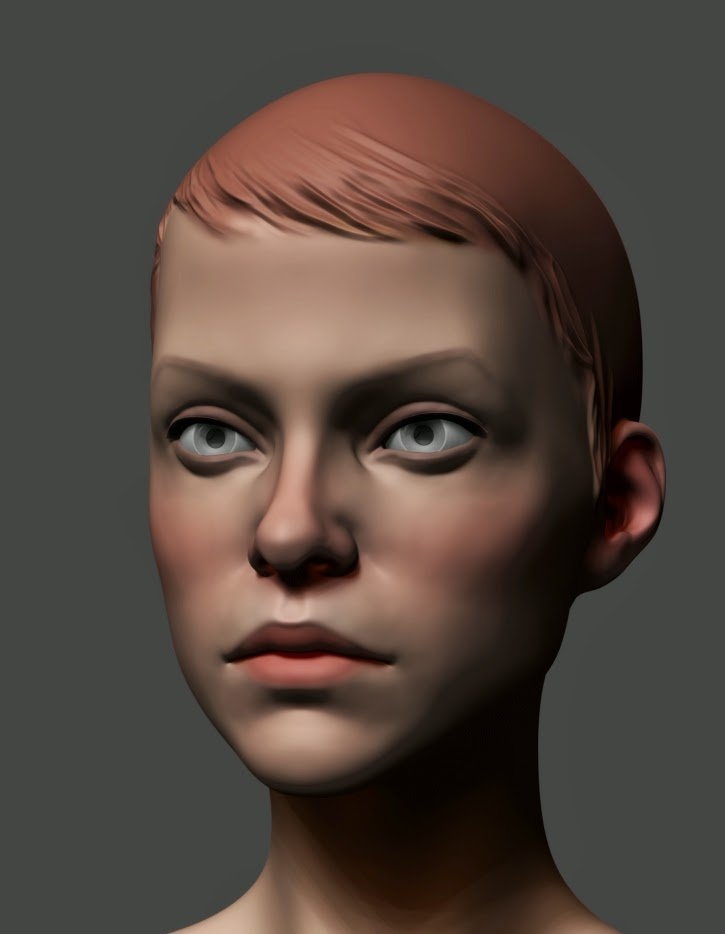 3d female heads