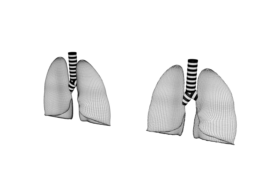 human lungs smokers 3d c4d