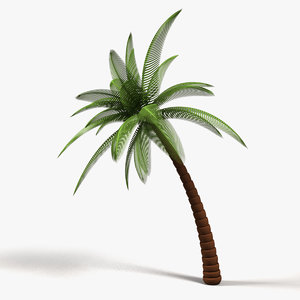 3d model palm tree