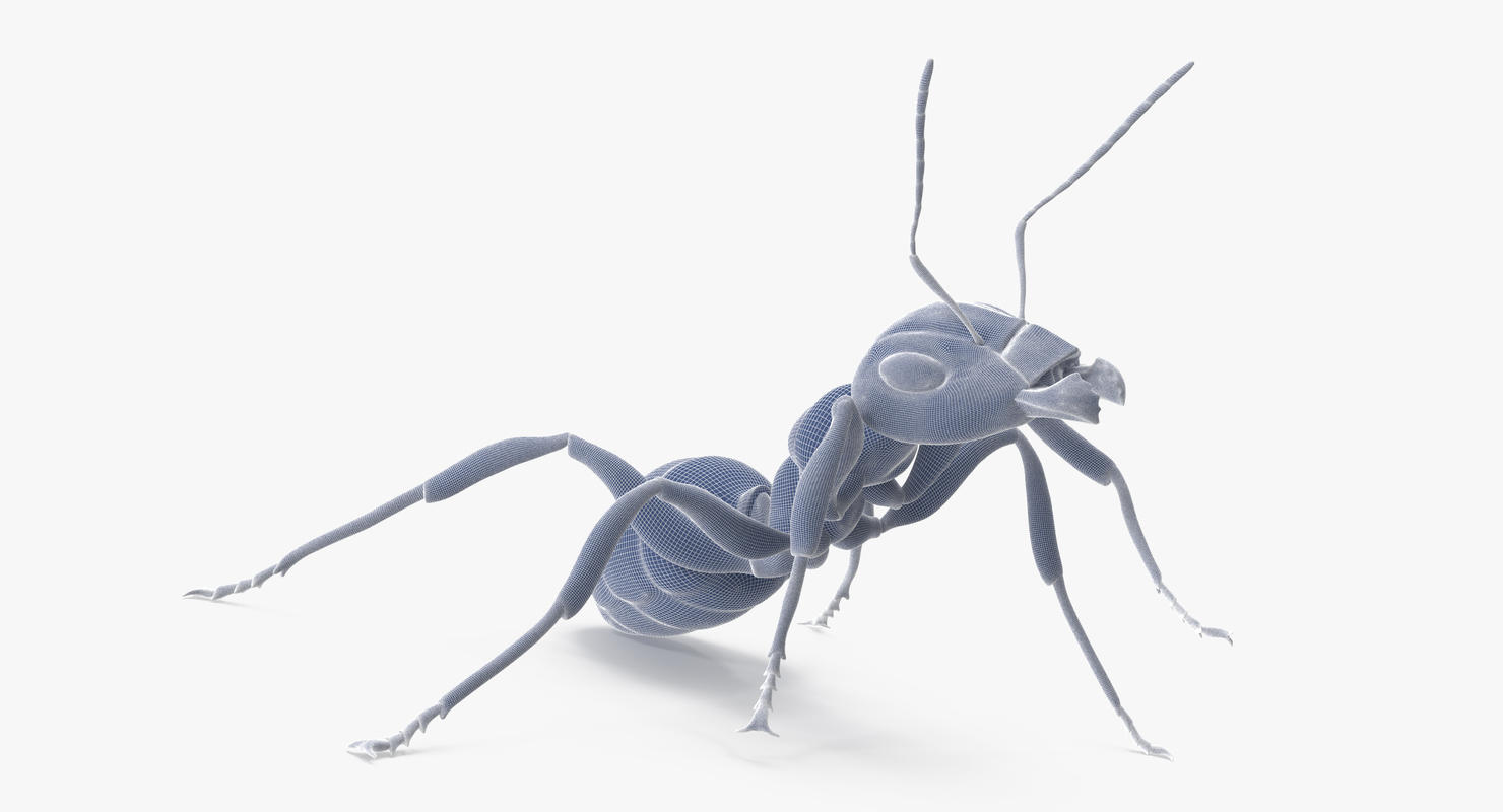 vivoactive ant 