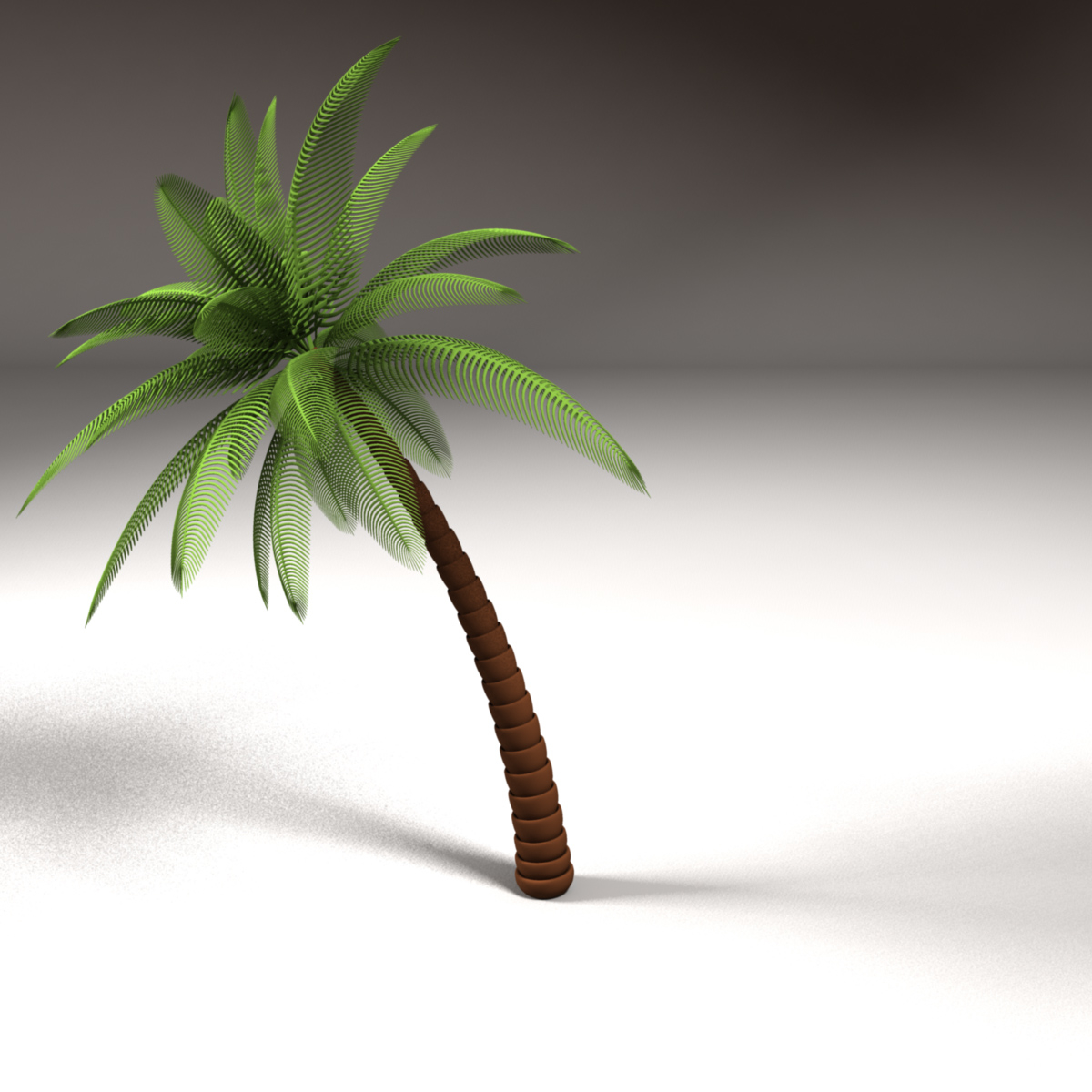 3d model palm tree