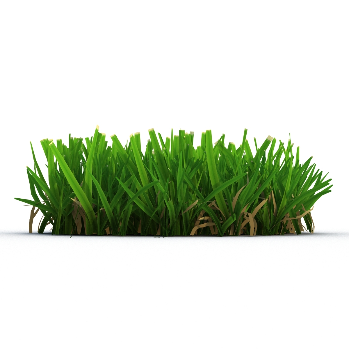 3d grass 5 model