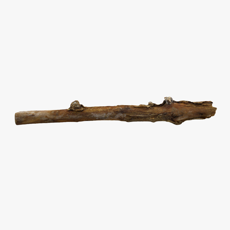 3d realistic stick