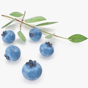 blueberry berry blue 3d model