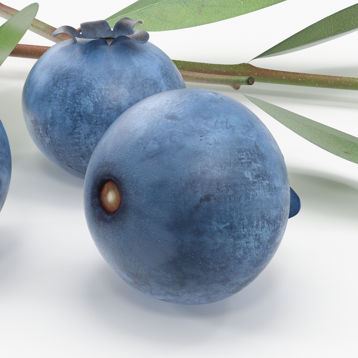 blueberry berry blue 3d model