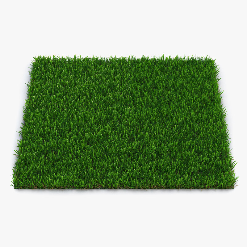 zoysia grass 3d model 