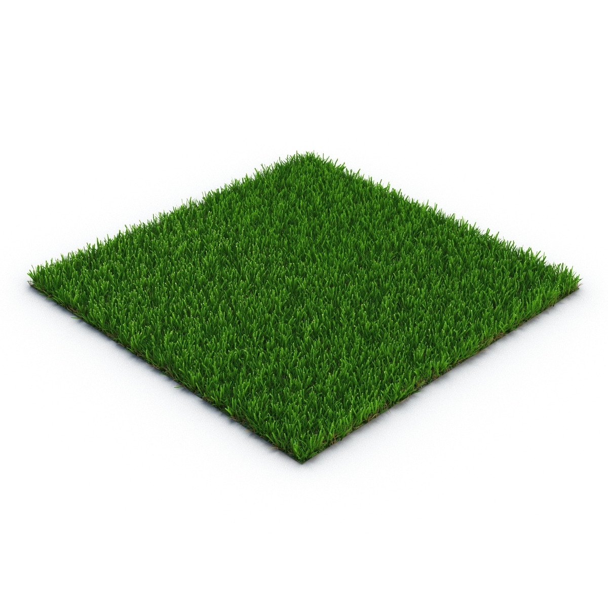 结缕草草3D模型 - TurboSquid 982776