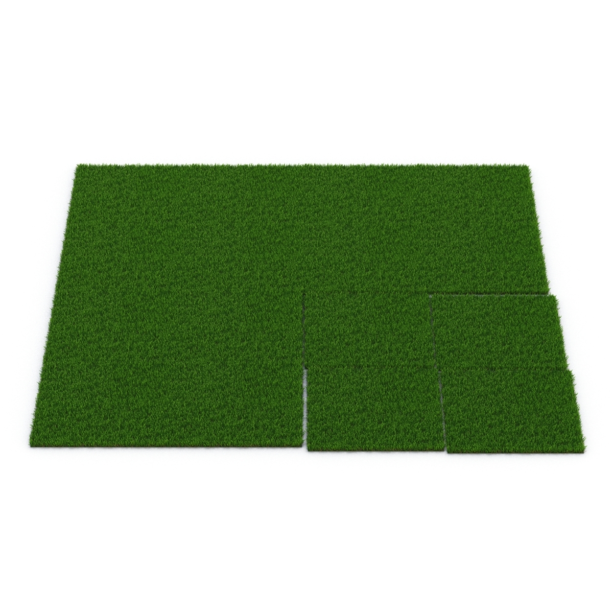结缕草草3D模型 - TurboSquid 982776