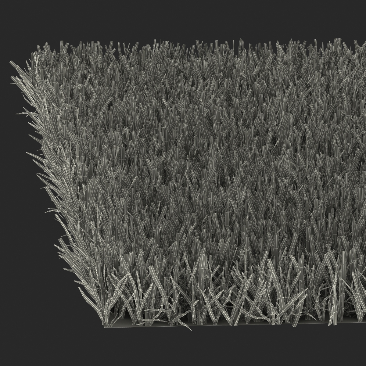 结缕草草3D模型 - TurboSquid 982776